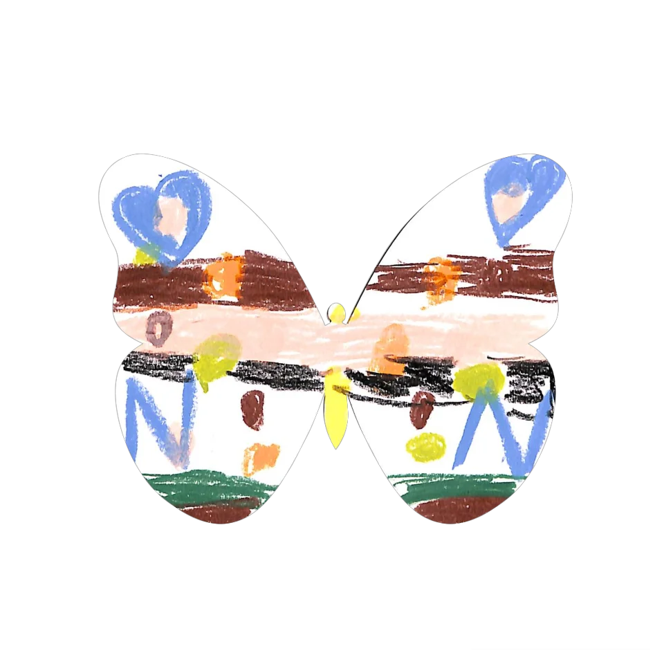 Original Butterfly Image