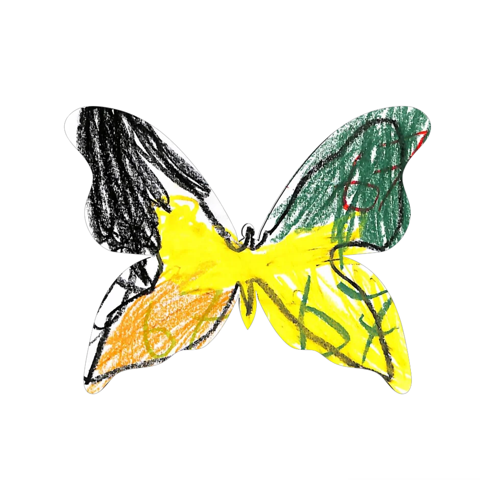 Original Butterfly Image