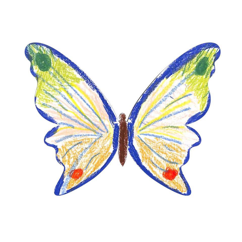 Original Butterfly Image