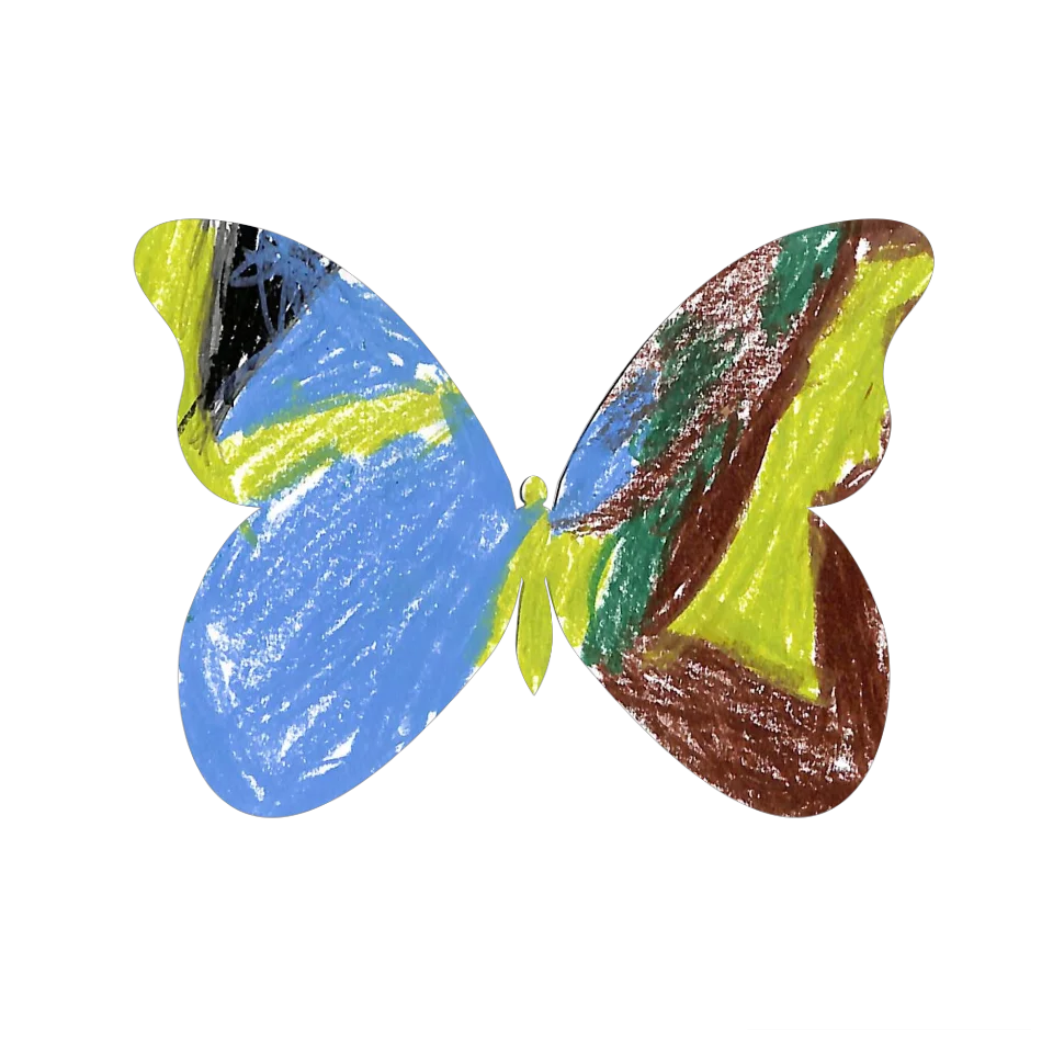 Original Butterfly Image
