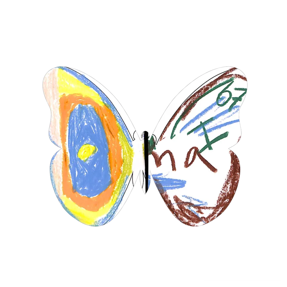 Original Butterfly Image