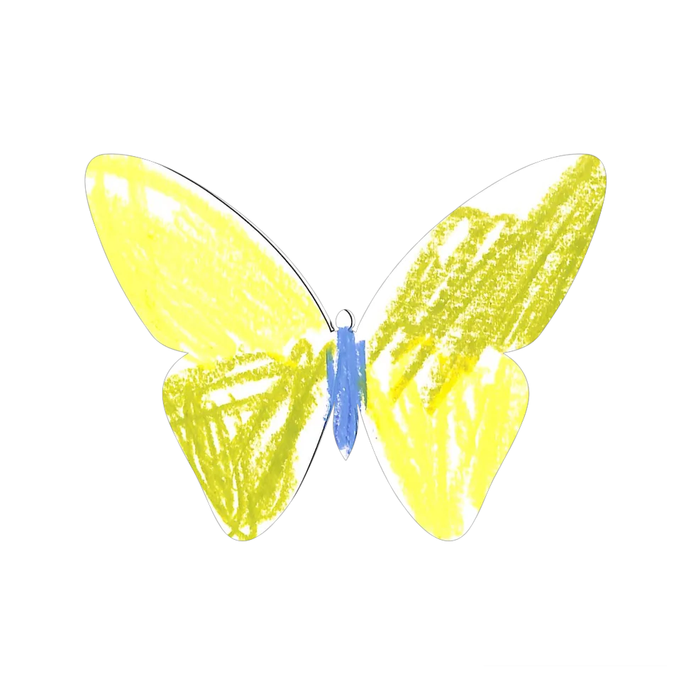Original Butterfly Image