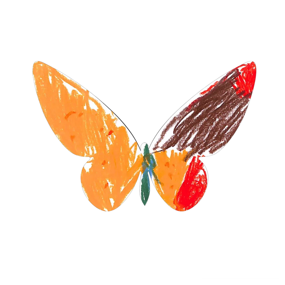 Original Butterfly Image