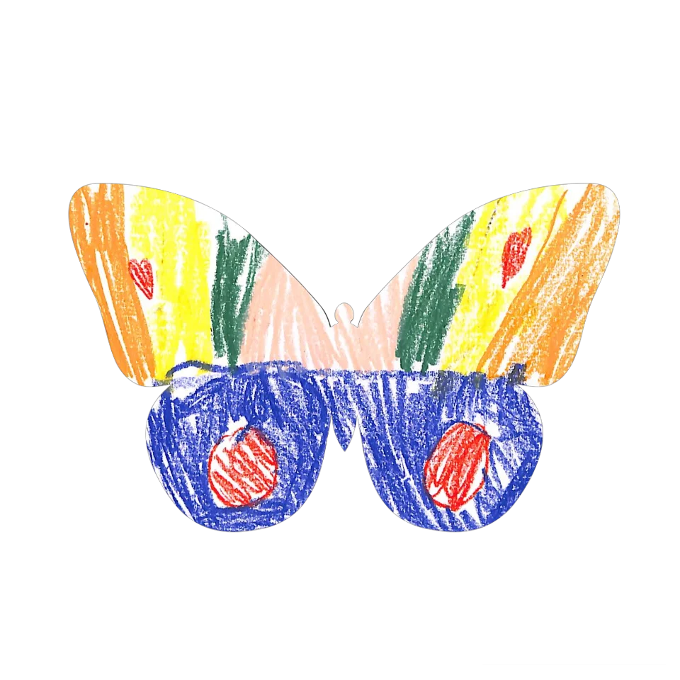 Original Butterfly Image