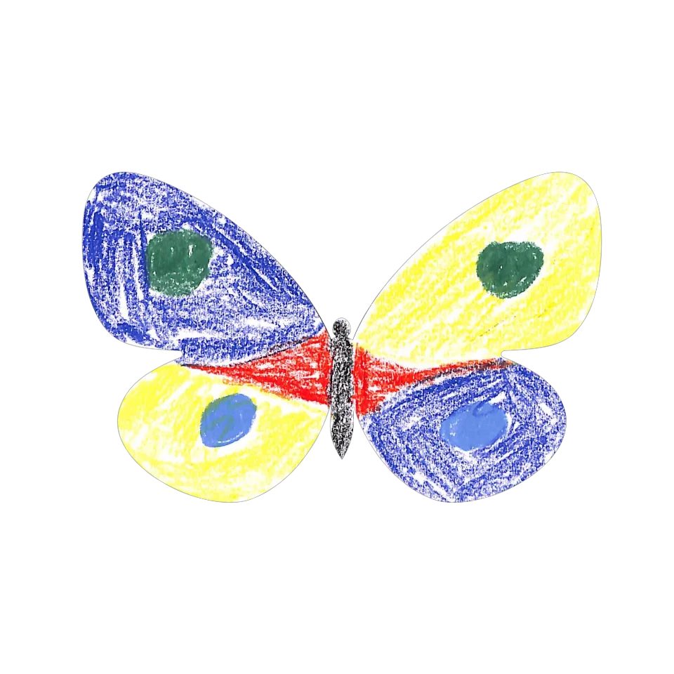 Original Butterfly Image