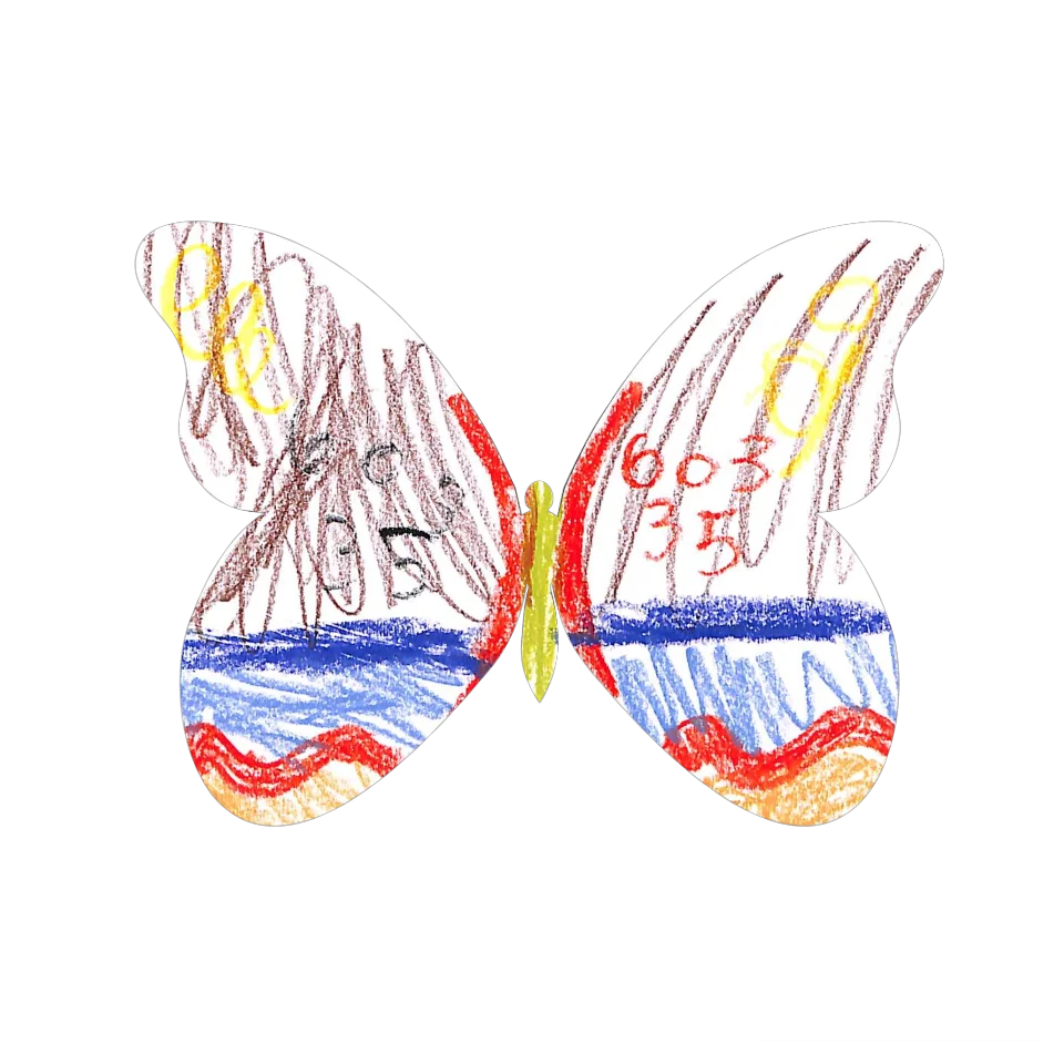 Original Butterfly Image