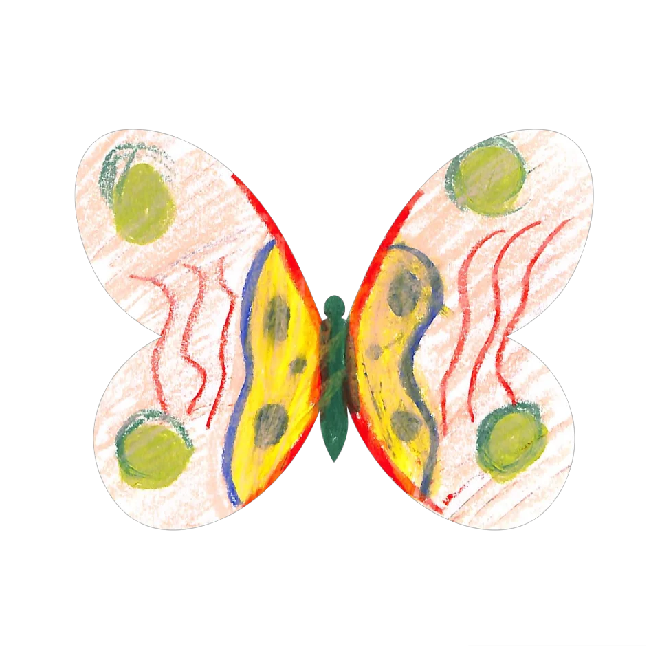Original Butterfly Image