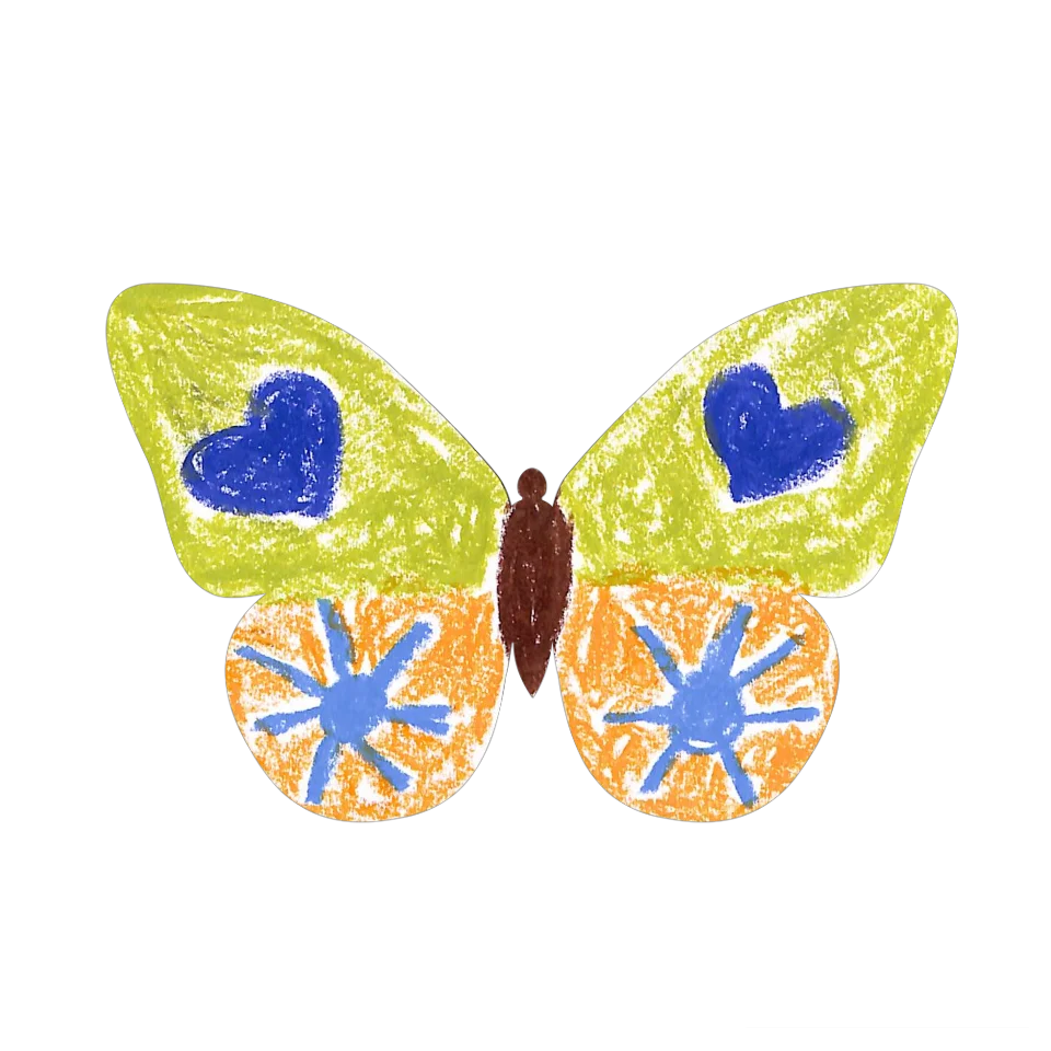 Original Butterfly Image