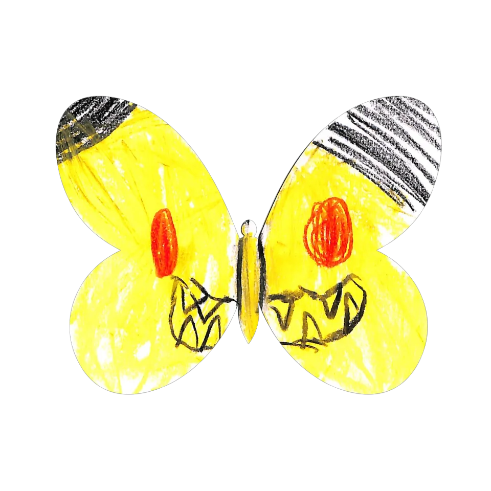 Original Butterfly Image