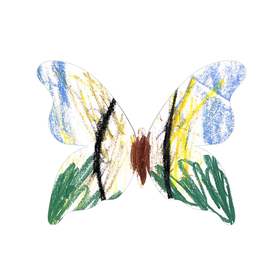 Original Butterfly Image
