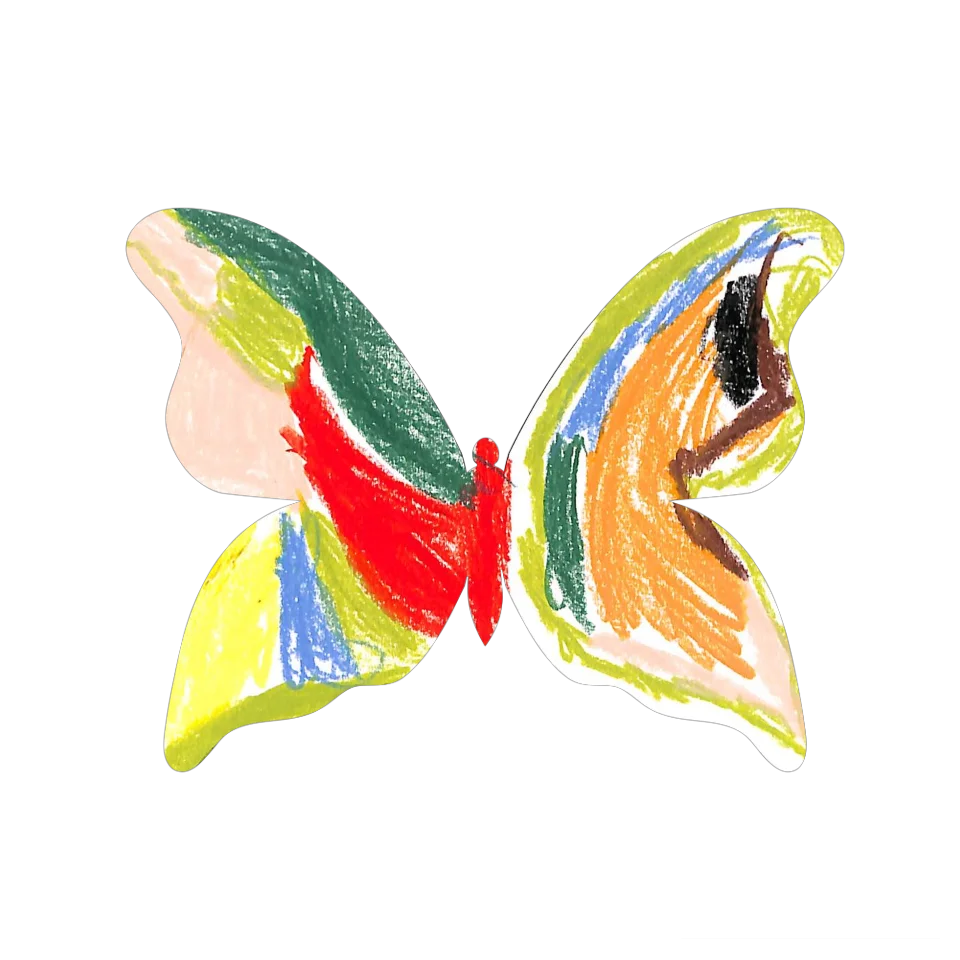 Original Butterfly Image