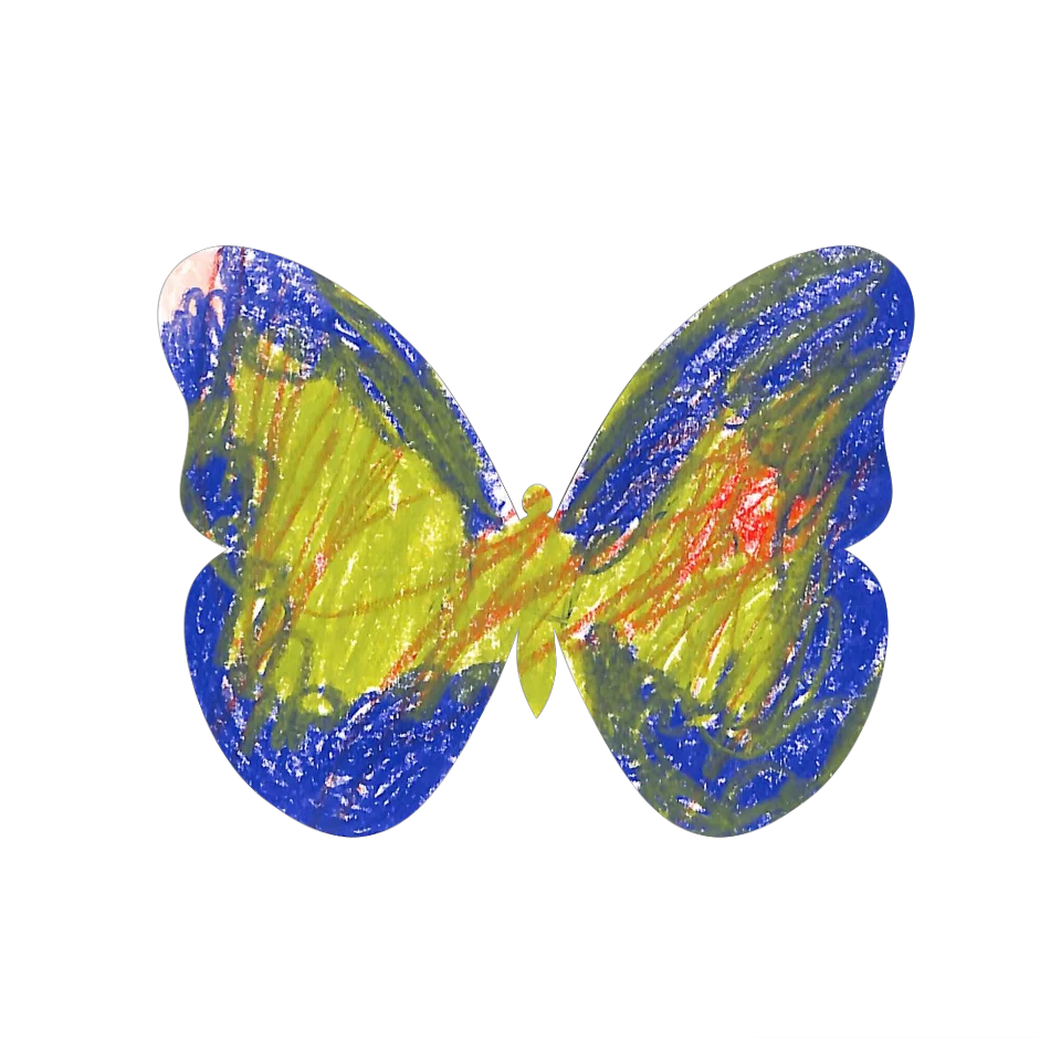 Original Butterfly Image