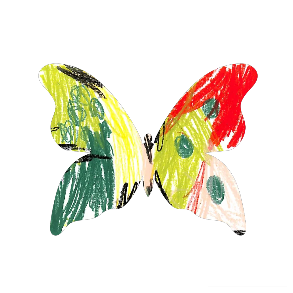 Original Butterfly Image