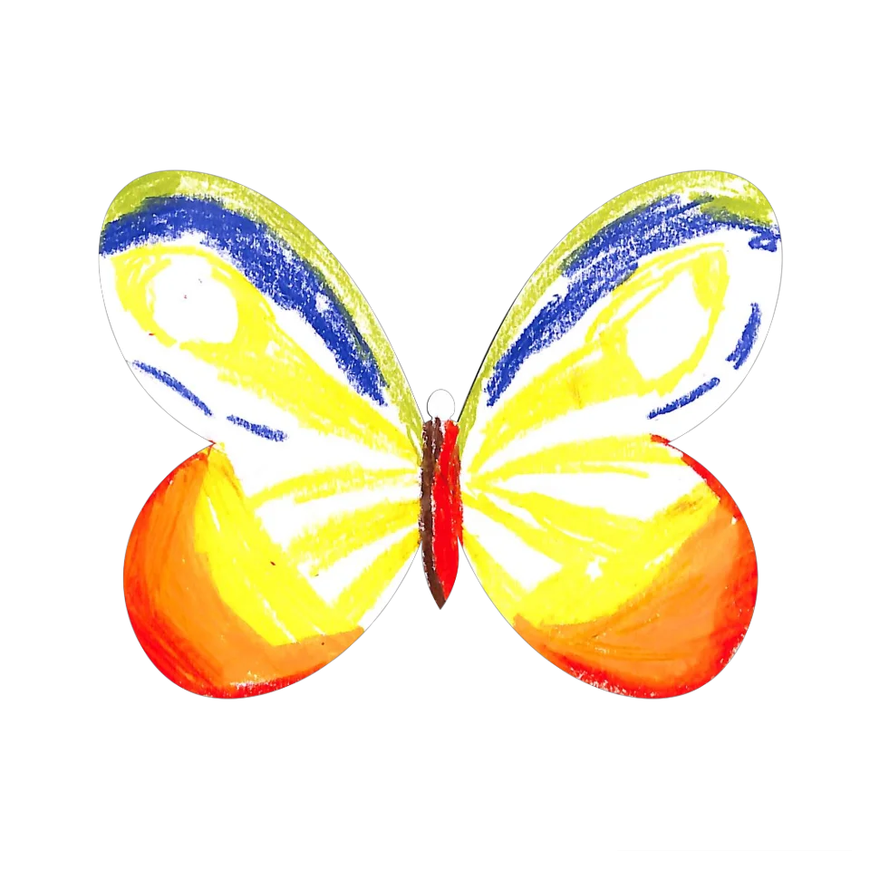 Original Butterfly Image