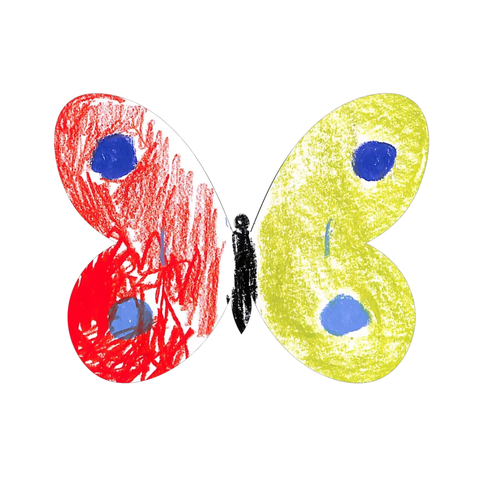Original Butterfly Image