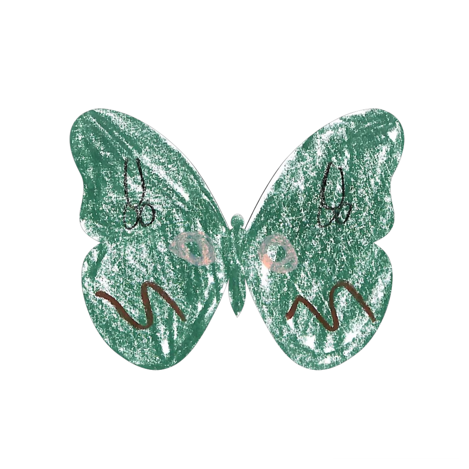 Original Butterfly Image