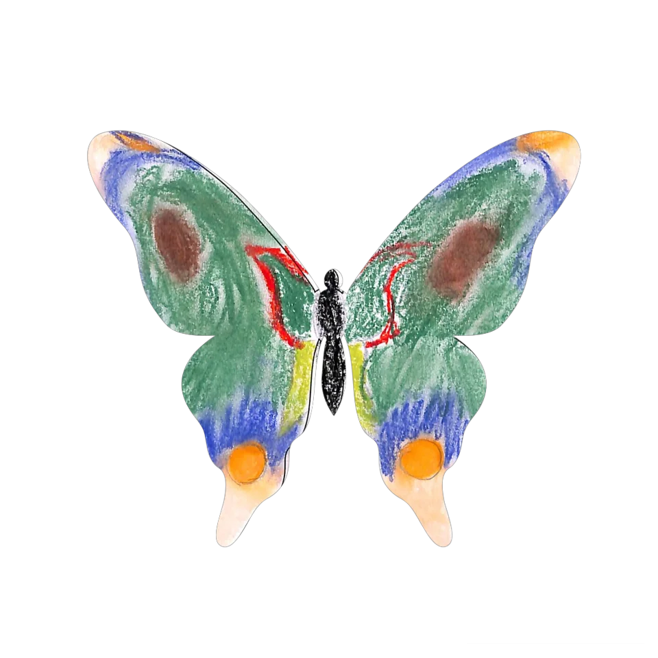 Original Butterfly Image