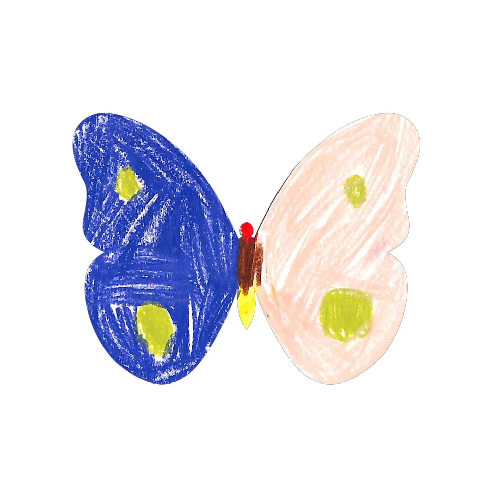 Original Butterfly Image