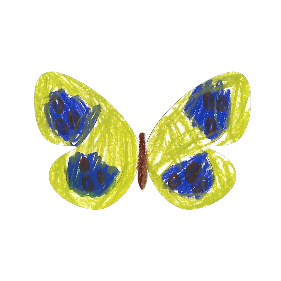 Original Butterfly Image