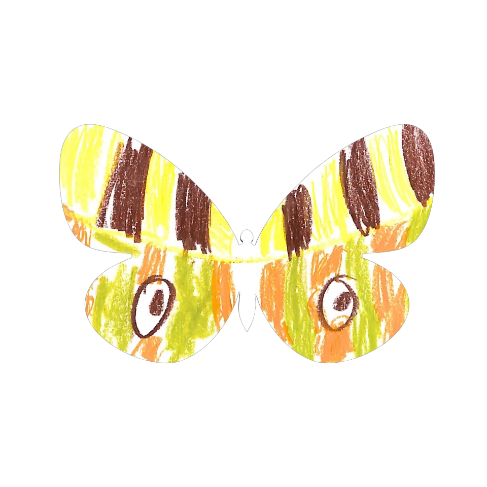 Original Butterfly Image