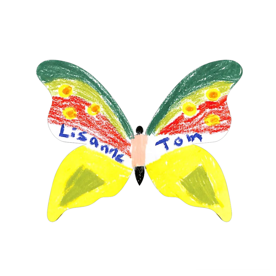 Original Butterfly Image