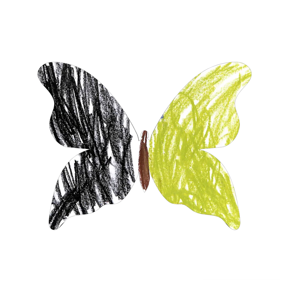 Original Butterfly Image