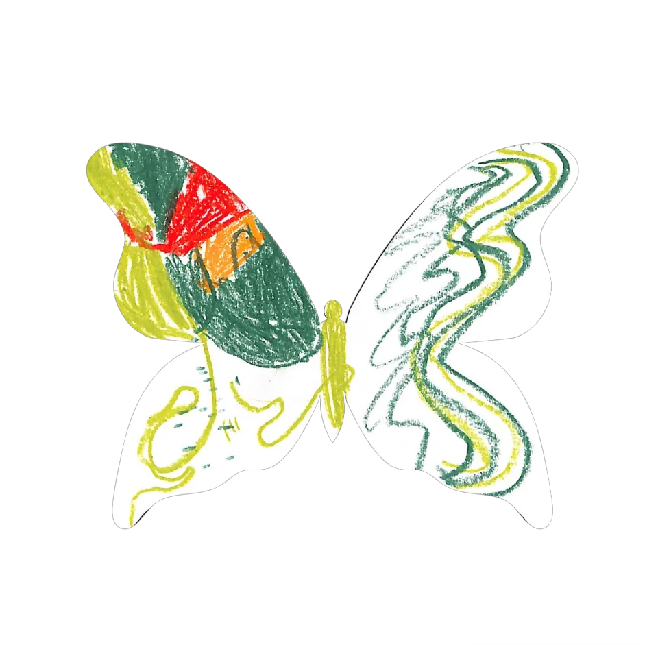 Original Butterfly Image