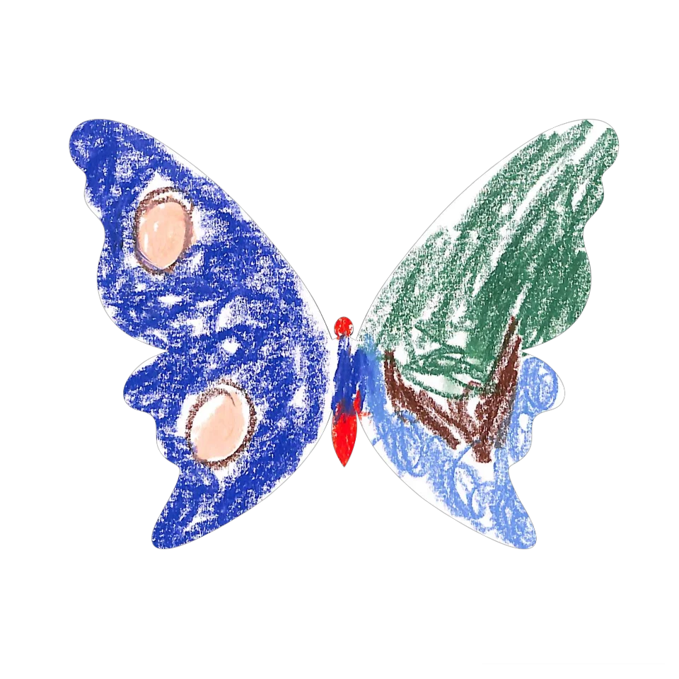 Original Butterfly Image