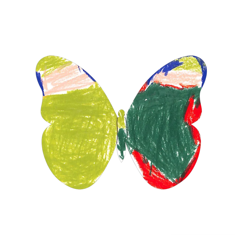Original Butterfly Image