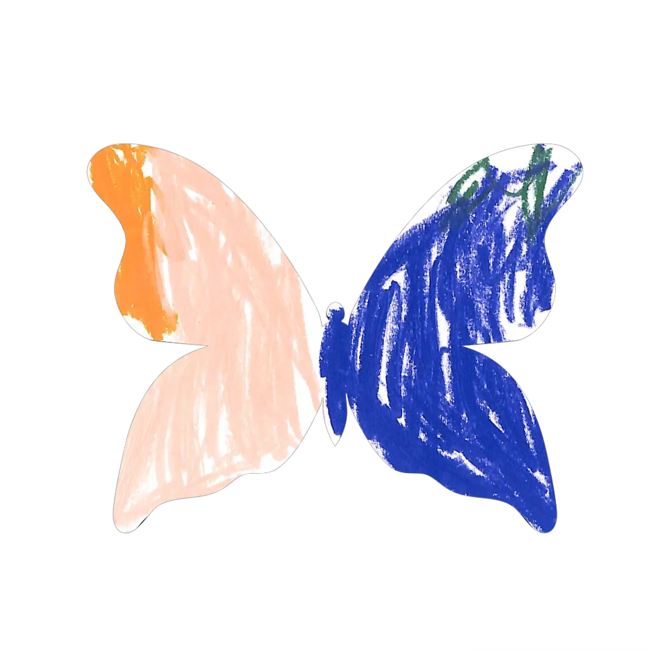 Original Butterfly Image
