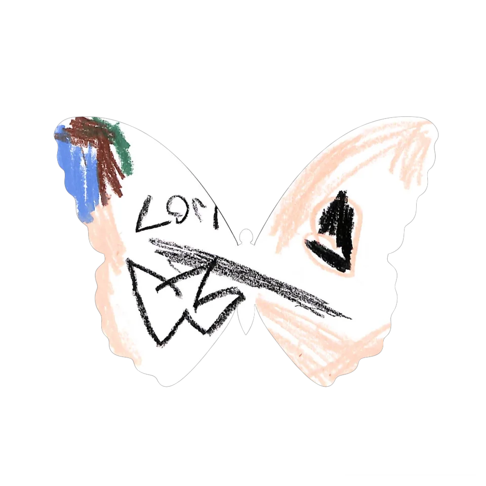 Original Butterfly Image