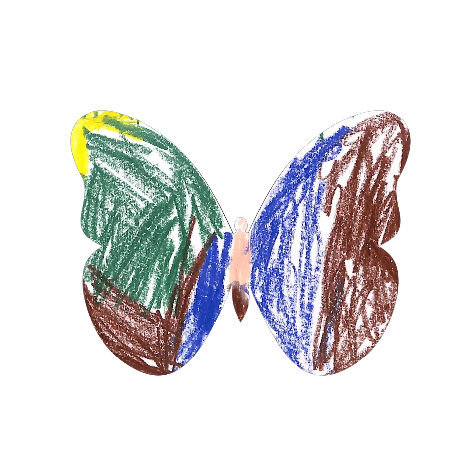 Original Butterfly Image