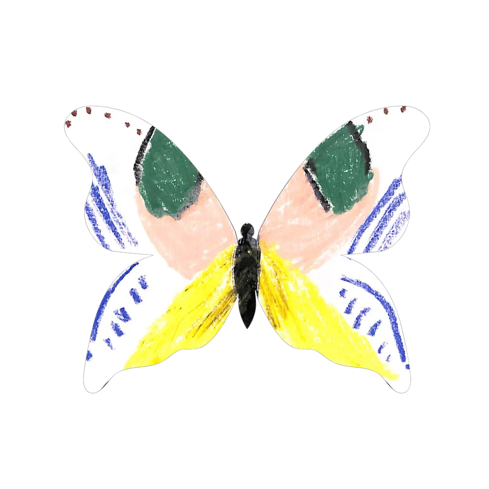 Original Butterfly Image
