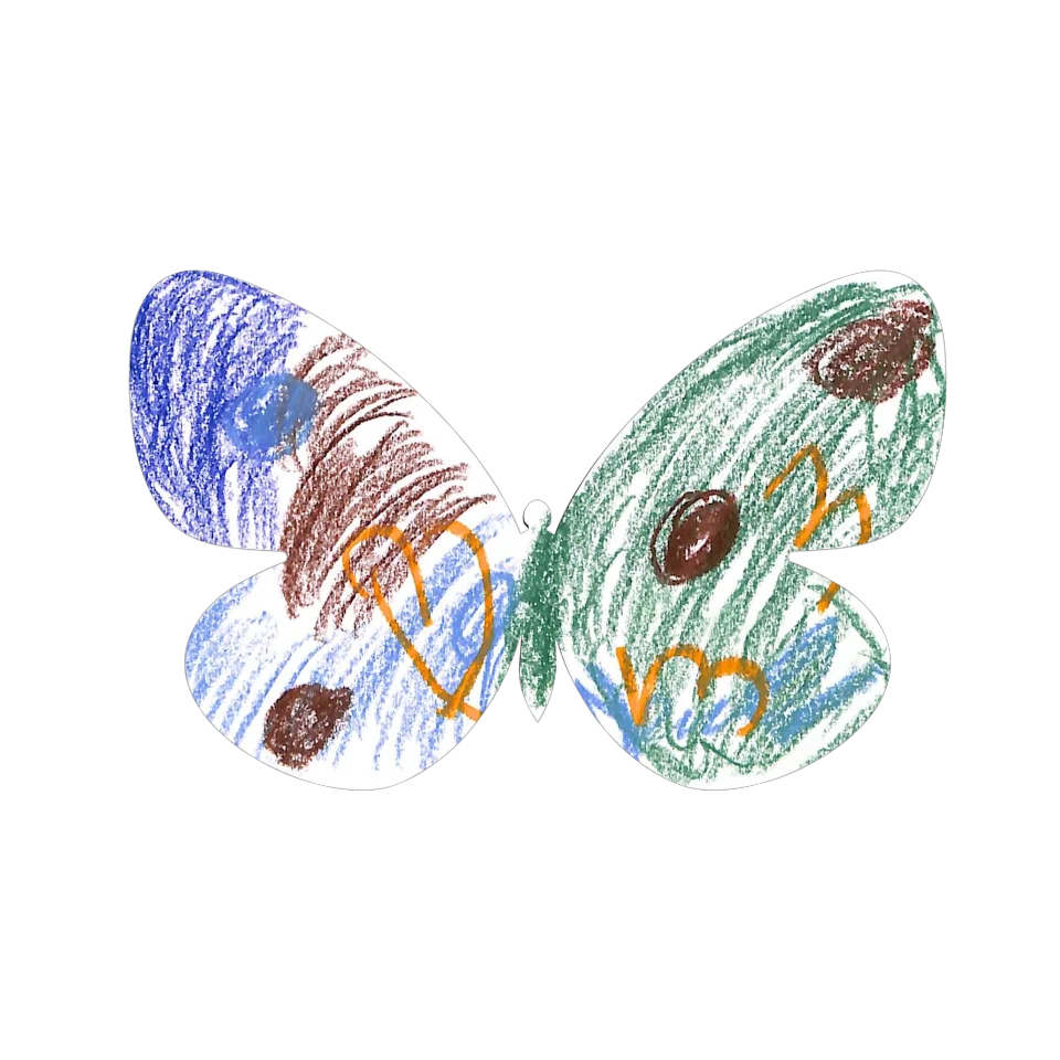 Original Butterfly Image