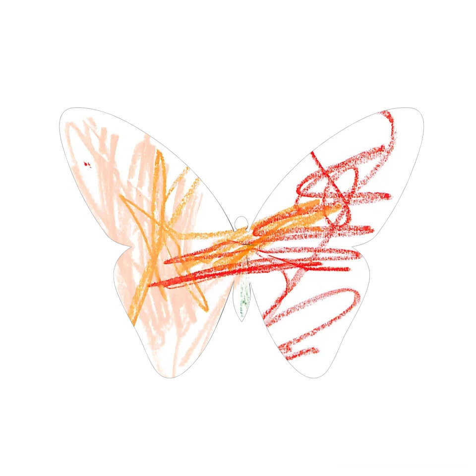 Original Butterfly Image