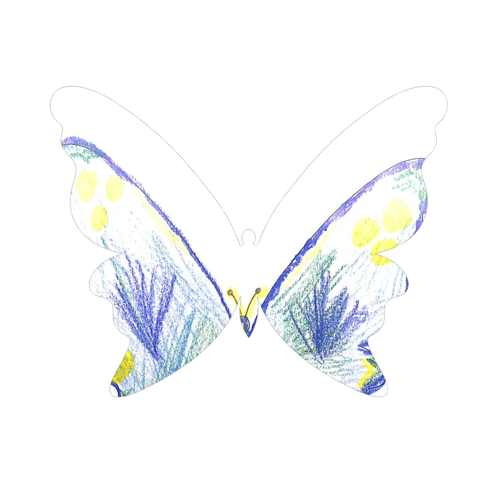 Original Butterfly Image