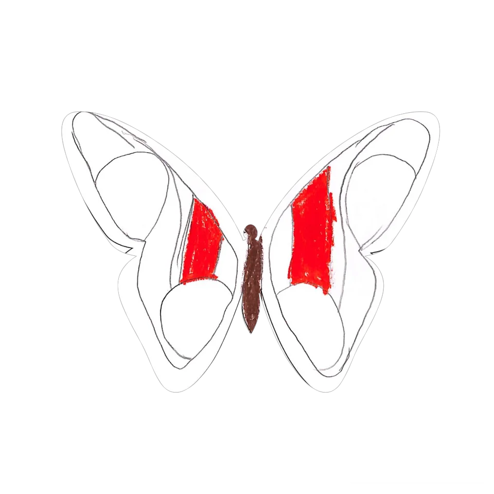 Original Butterfly Image