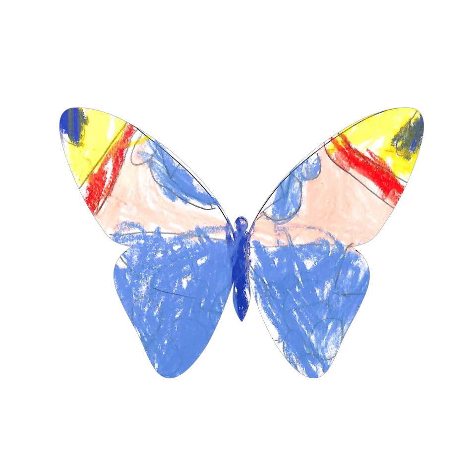 Original Butterfly Image