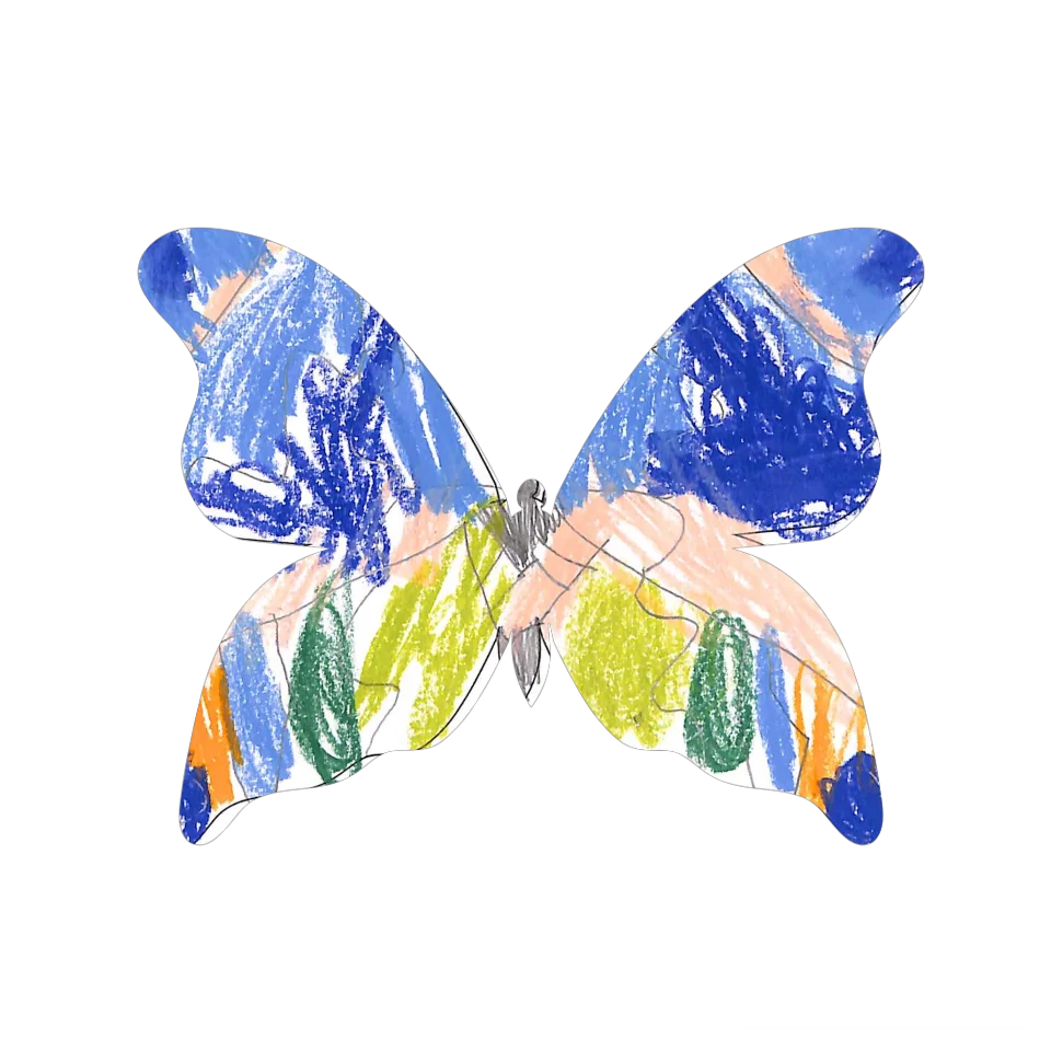 Original Butterfly Image