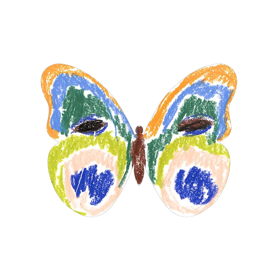 Original Butterfly Image
