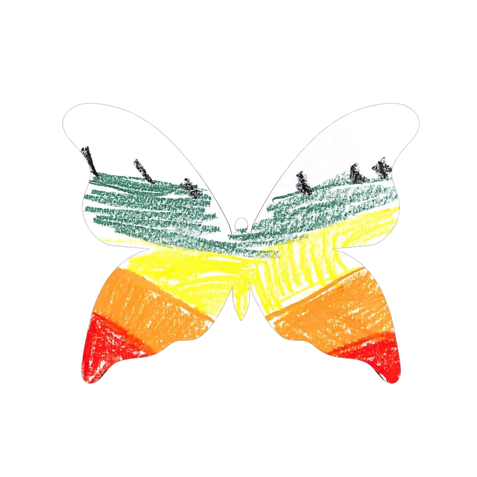 Original Butterfly Image