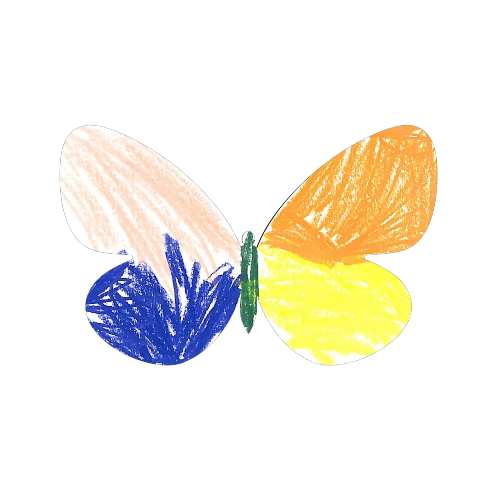 Original Butterfly Image