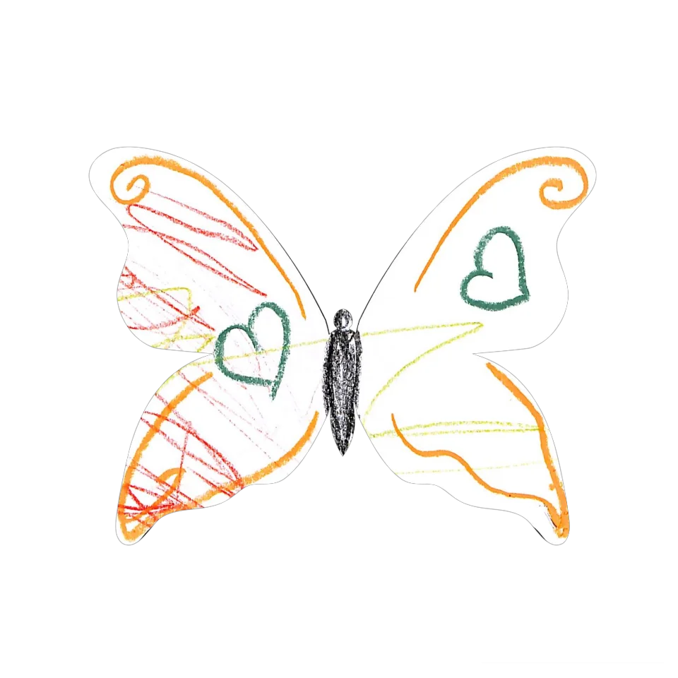 Original Butterfly Image