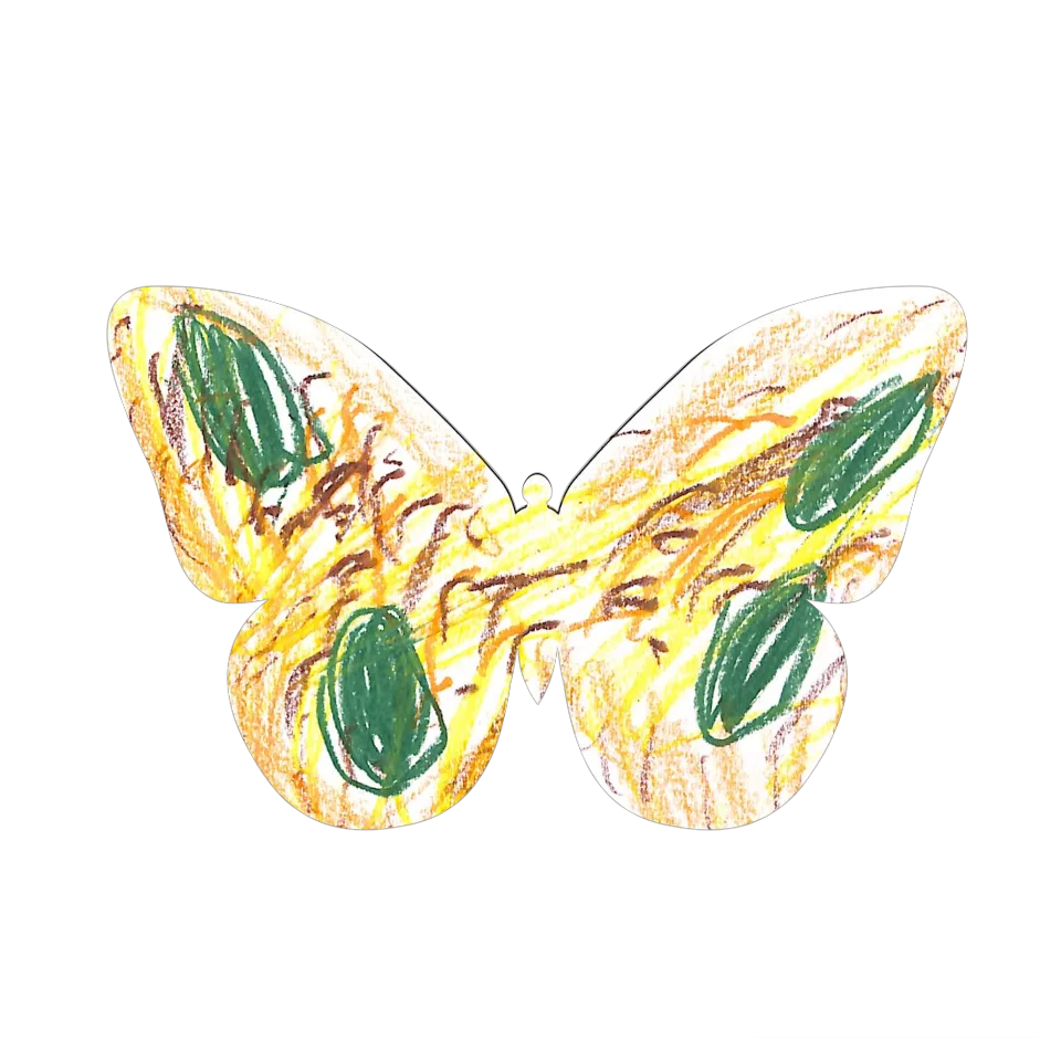 Original Butterfly Image