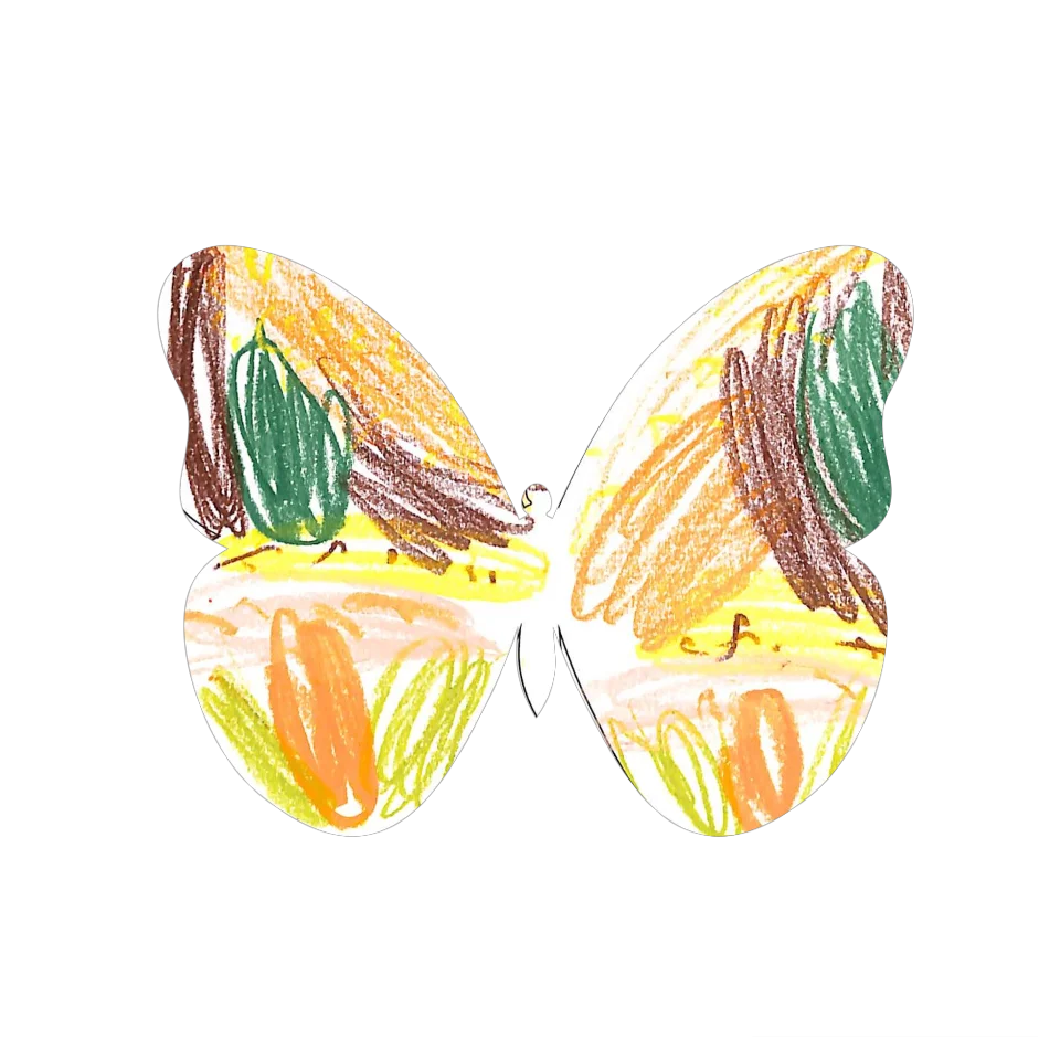 Original Butterfly Image