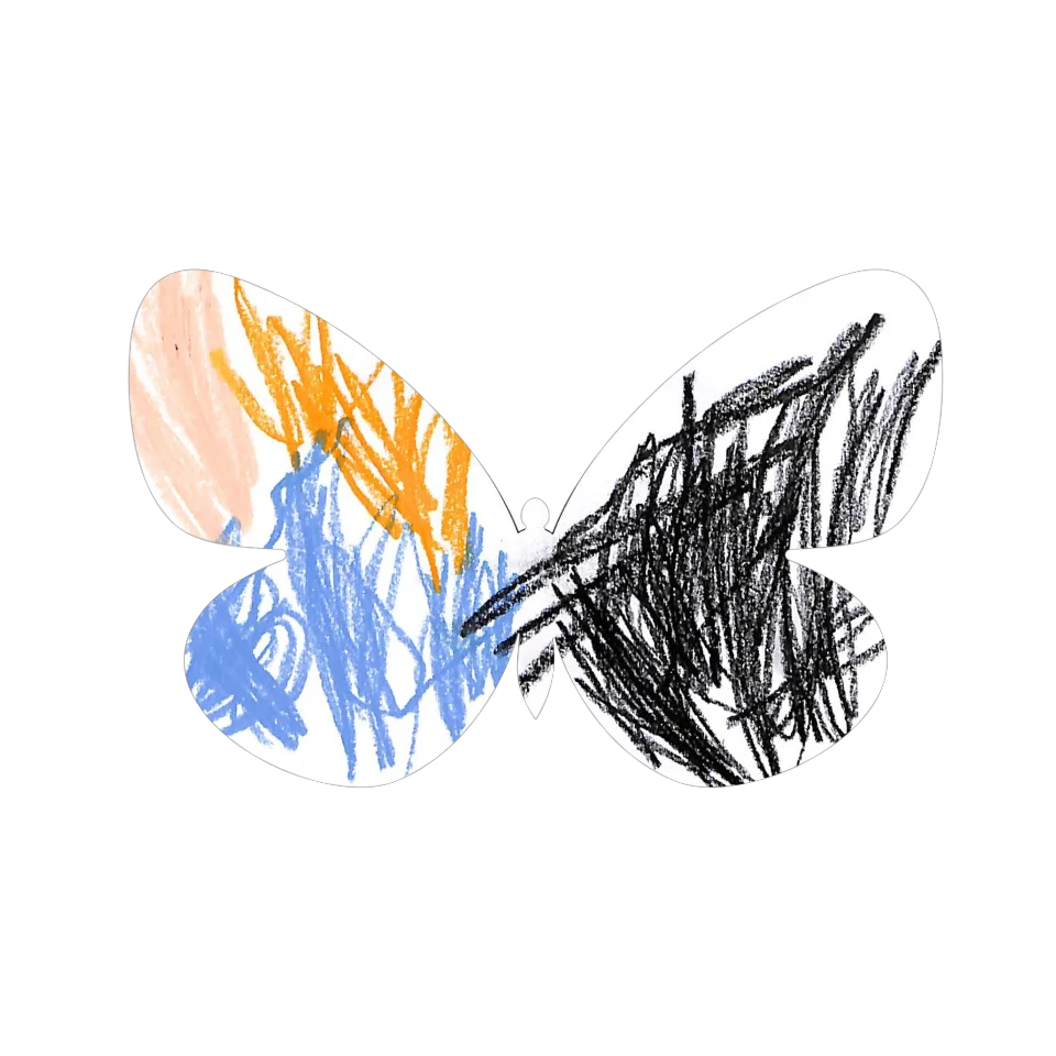 Original Butterfly Image