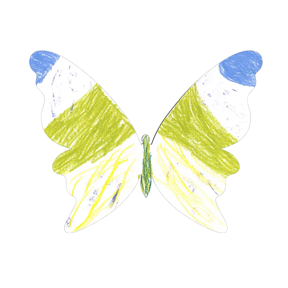 Original Butterfly Image