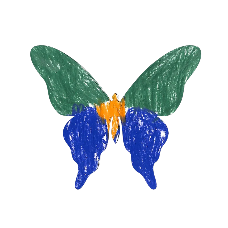 Original Butterfly Image