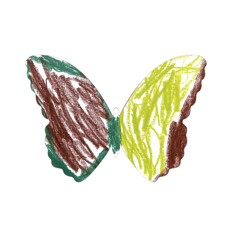 Original Butterfly Image