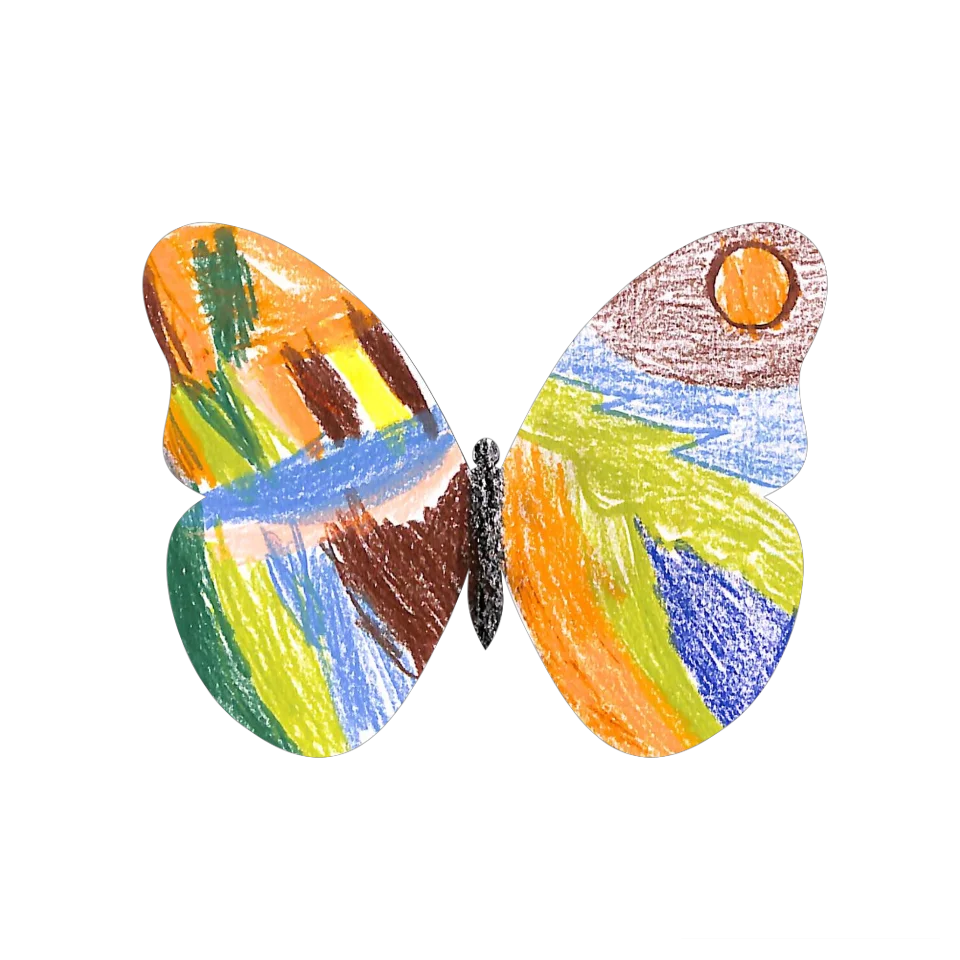 Original Butterfly Image